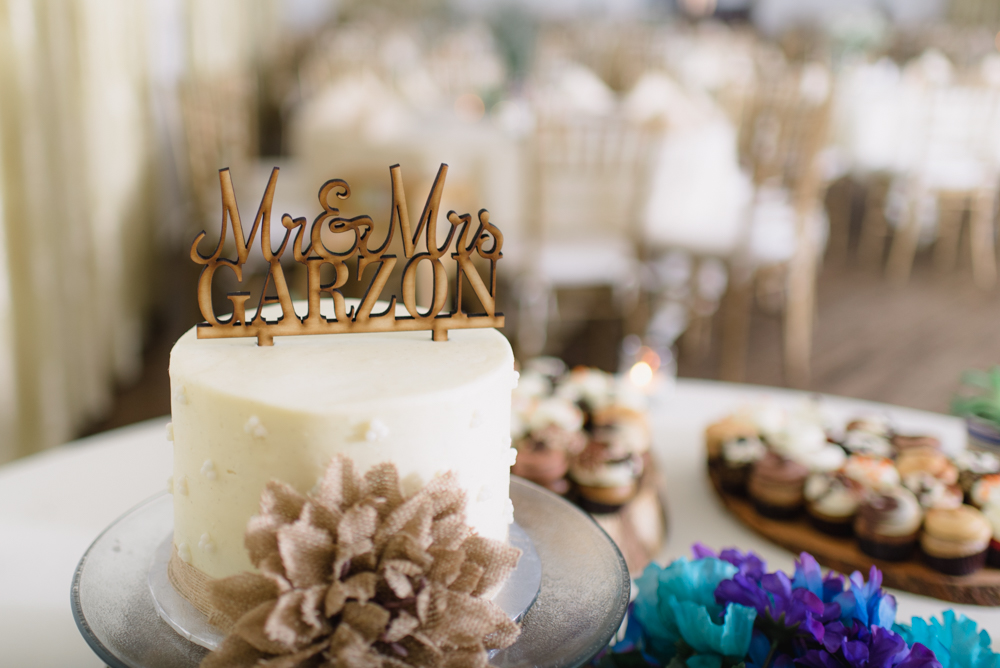 Wedding Cake Asheville Photographer