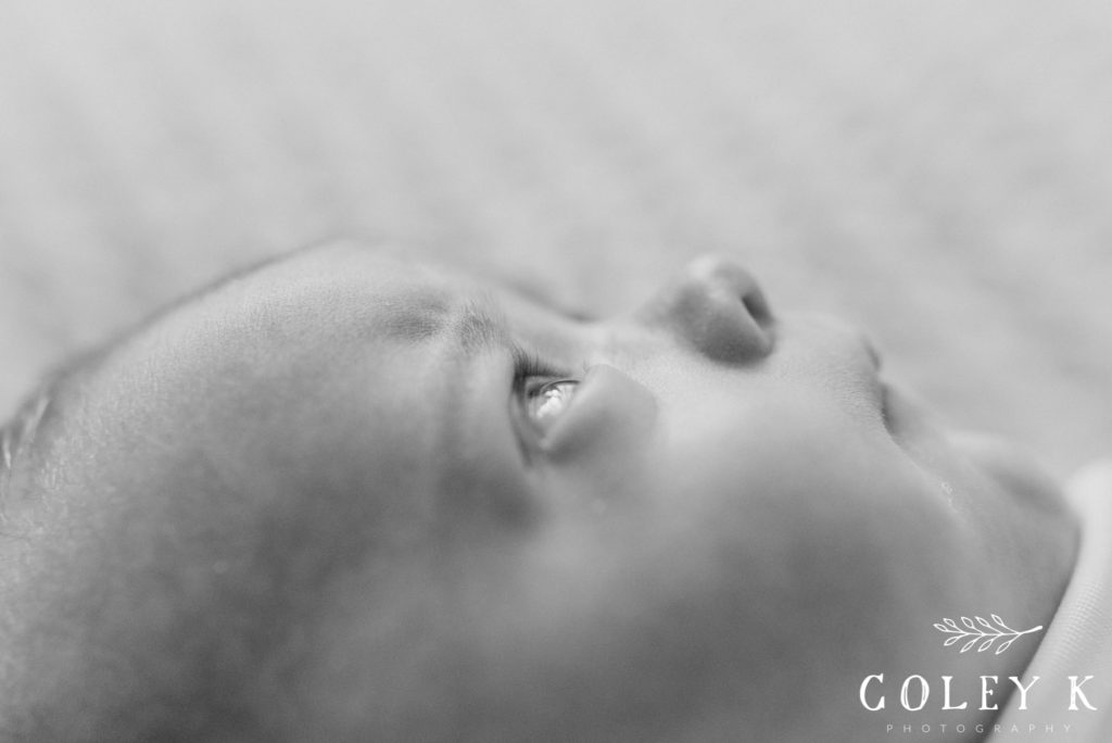 Black and White Baby Newborn Close Up