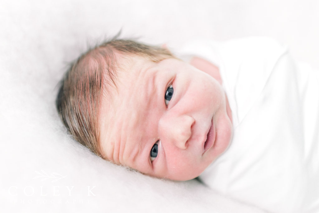 Newborn Photography Asheville NC newborn baby wide awake with blue eyes