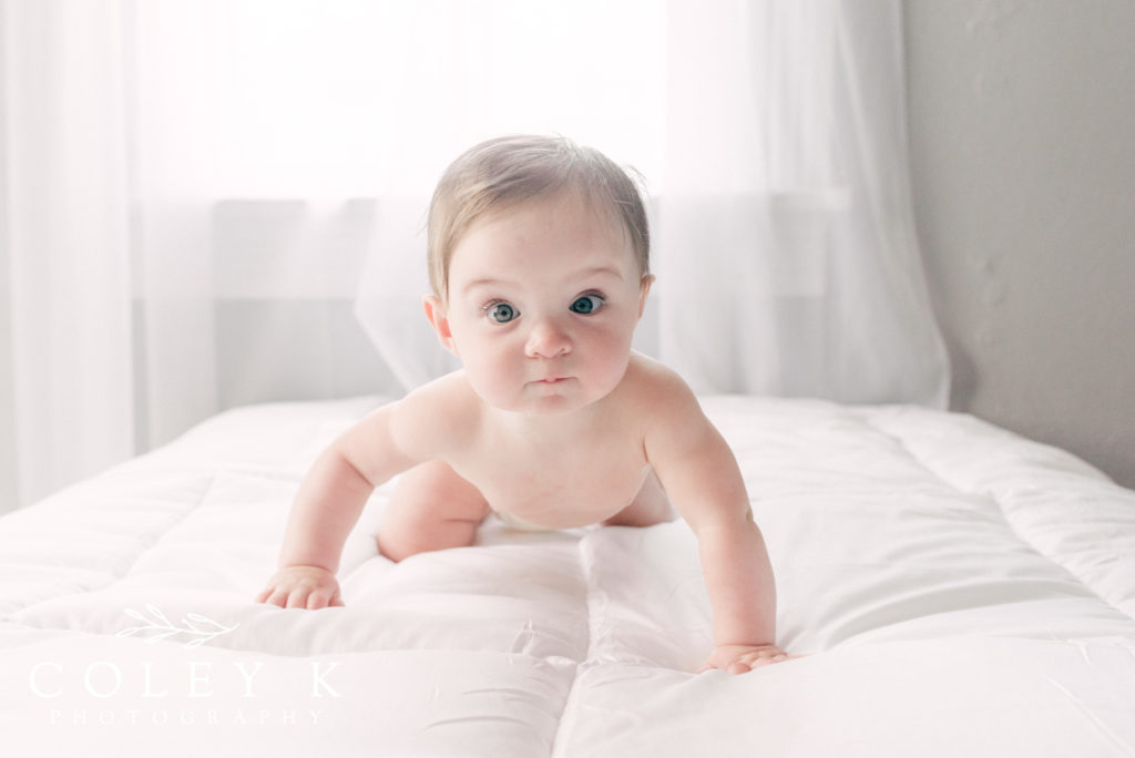 Asheville Baby Photographer