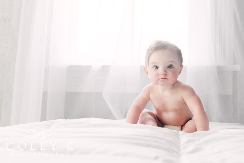 Asheville Baby Photographer