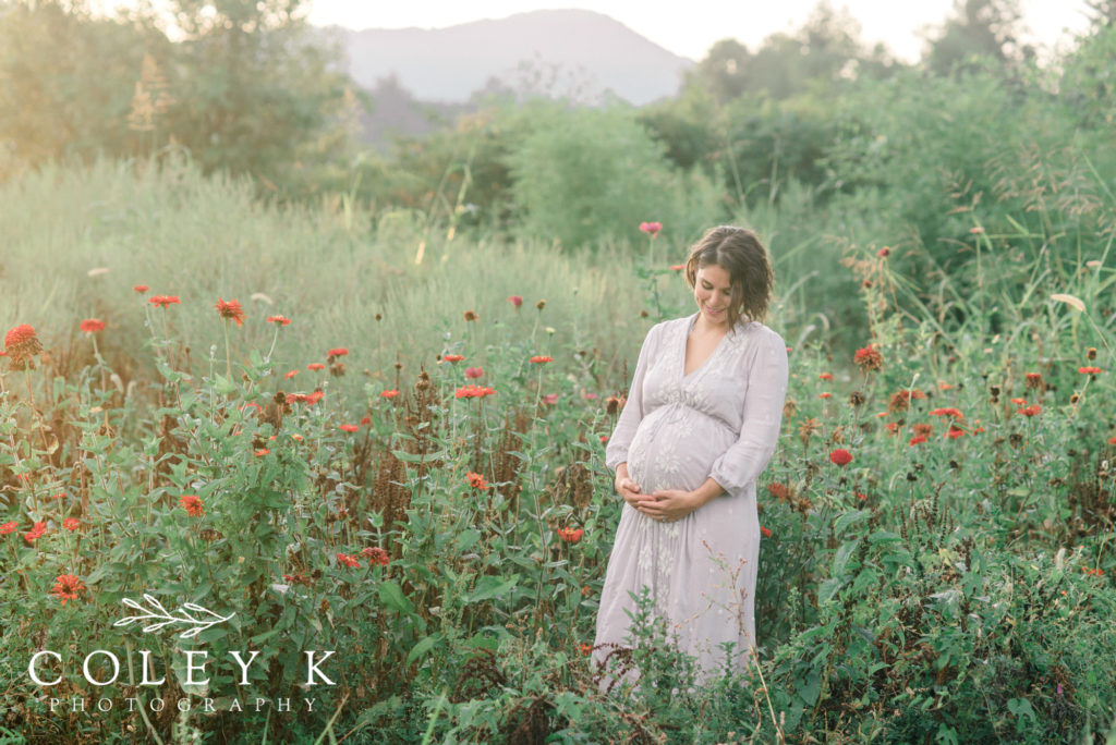 Asheville-Maternity-Photographer