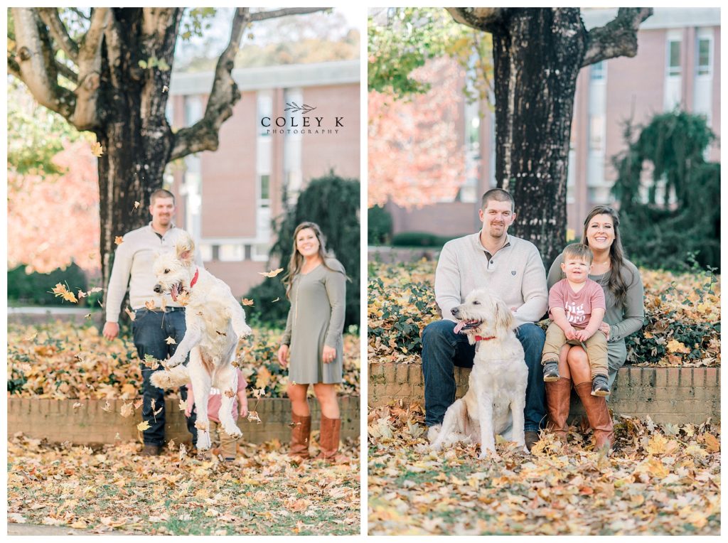 Fall Family Photos with Dog and Leaves