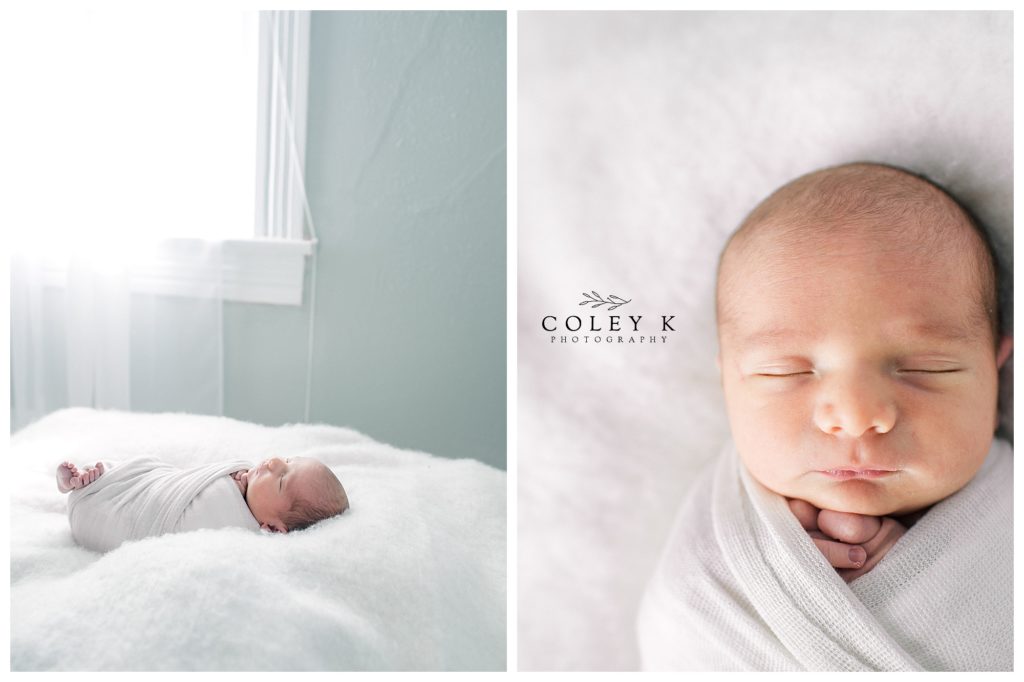 newborn photography natural light studio asheville photographer
