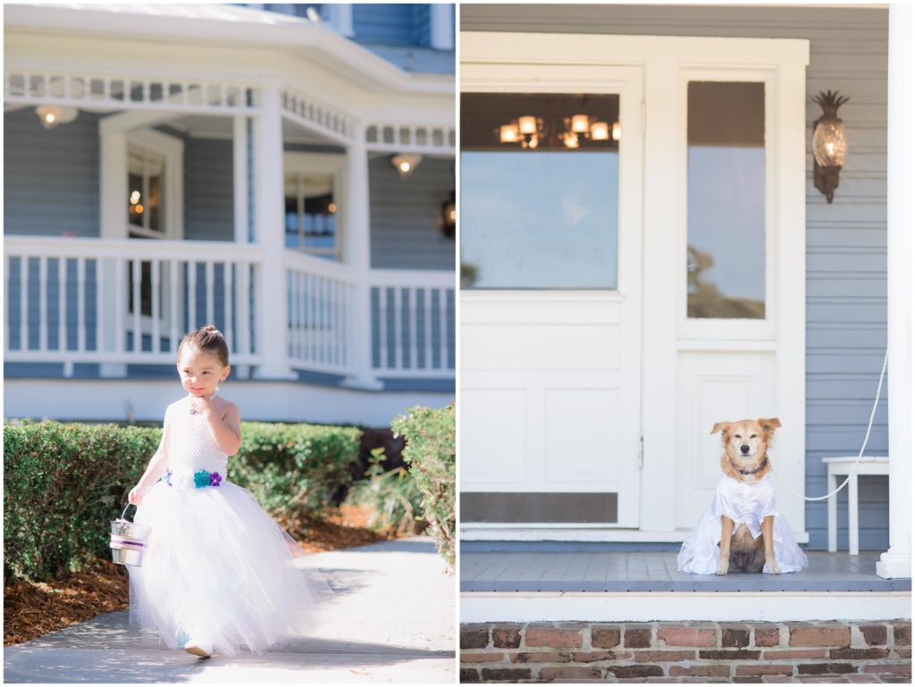 Wedding Ceremony with Dog Asheville Photographer
