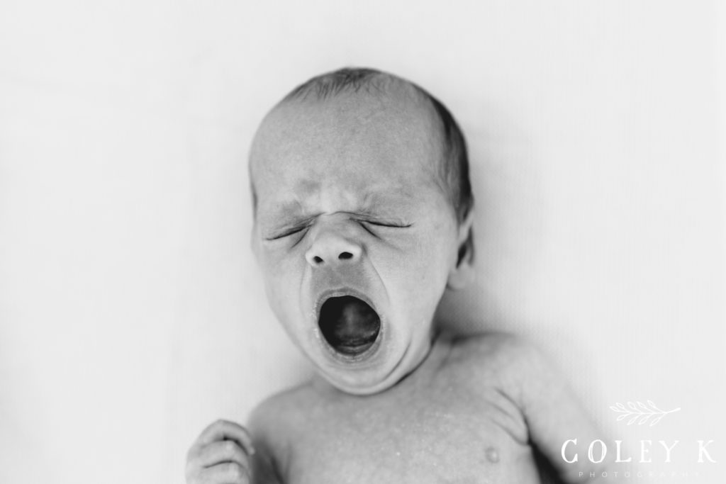 baby yawning black mountain photographer