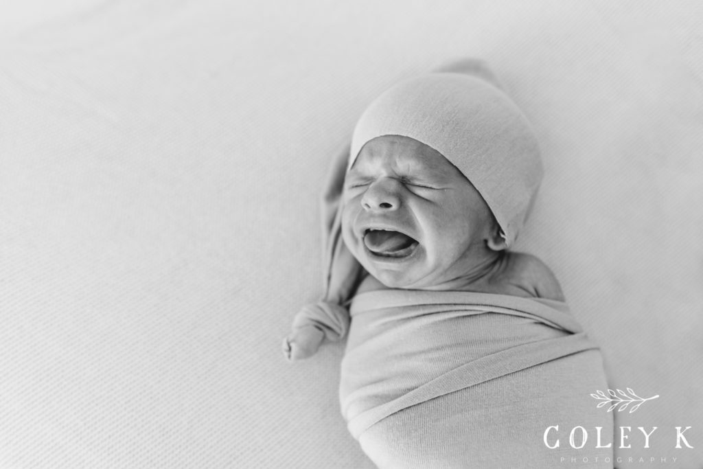 asheville newborn photographer
