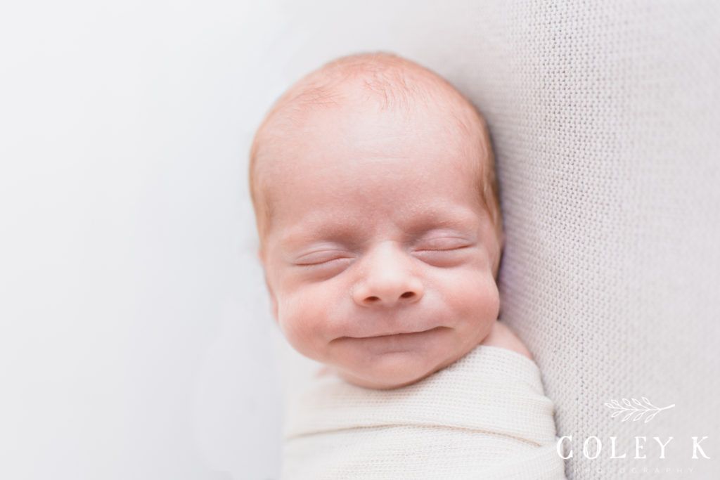 greeneville sc newborn photography