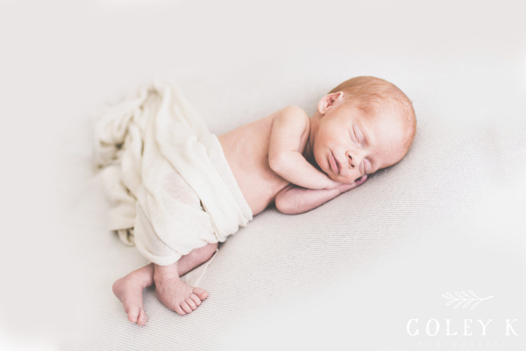 asheville newborn photography
