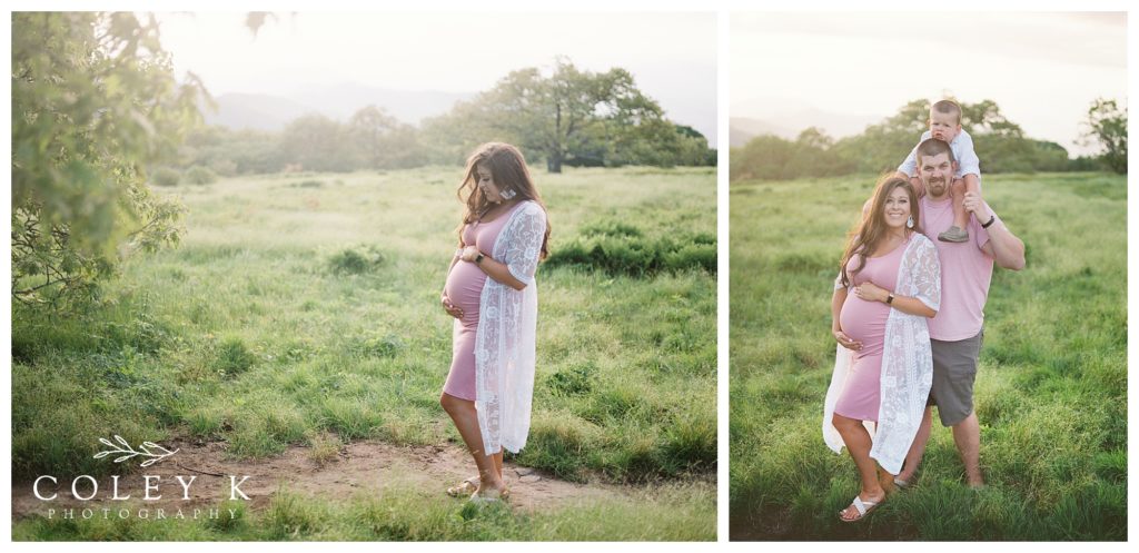 asheville film photographer maternity photos on craggy gardens